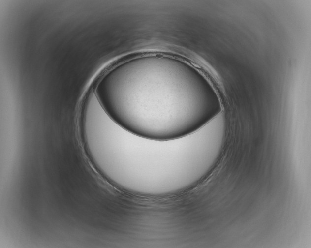 X0000113581368200909181011