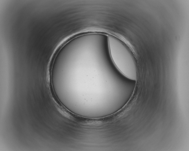 X0000113581372200909181011