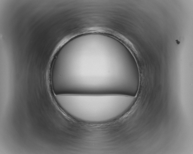 X0000113581373200909181011