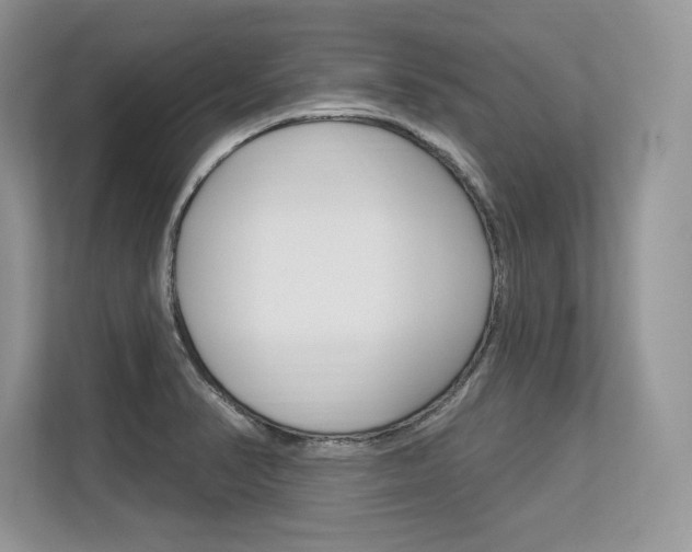 X0000113581374200909181011