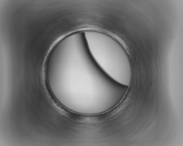 X0000113581375200909181011