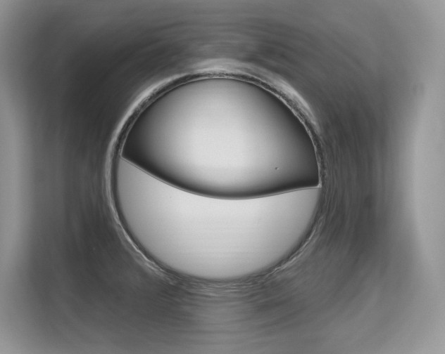 X0000113581376200909181011