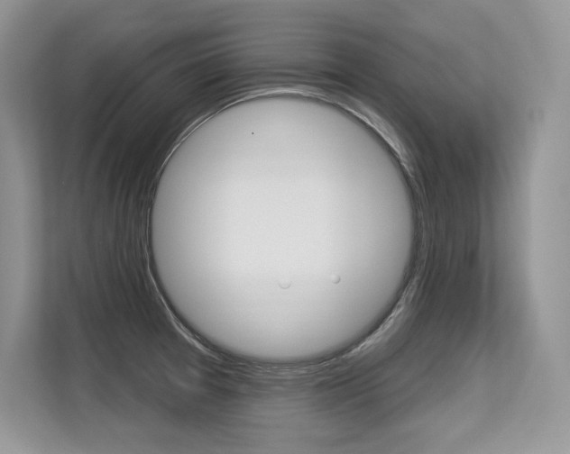 X0000113581377200909181011