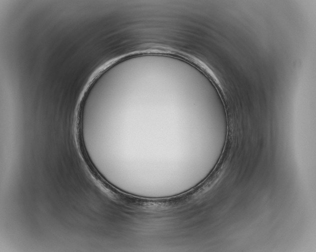 X0000113581379200909181011