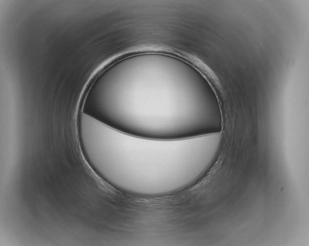 X0000113581380200909181011