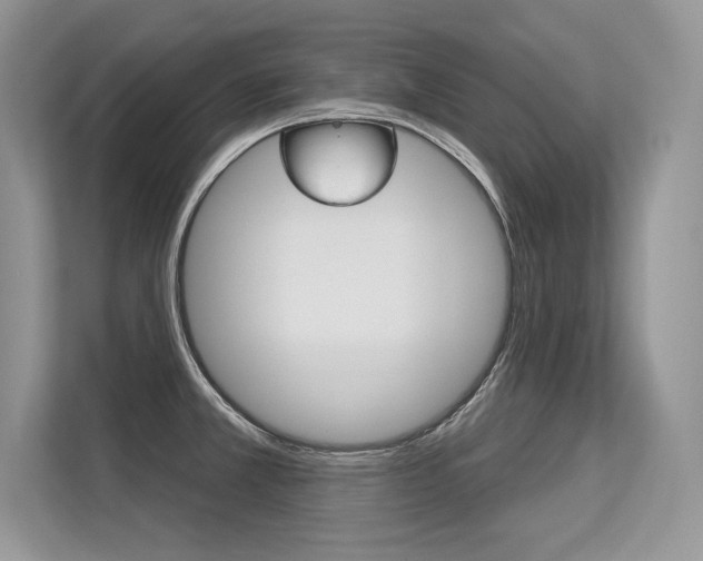 X0000113581381200909181011