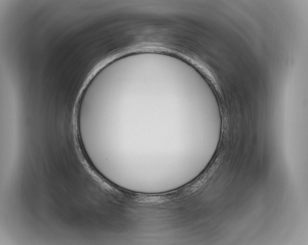 X0000113581382200909181011