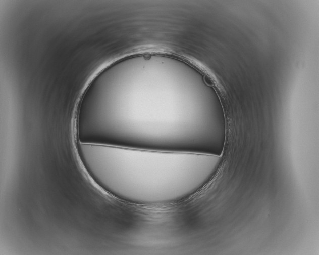 X0000113581383200909181011