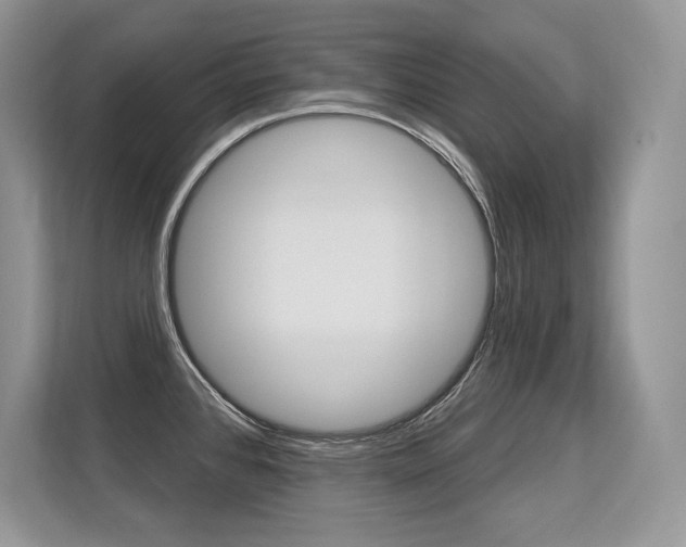 X0000113581384200909181011