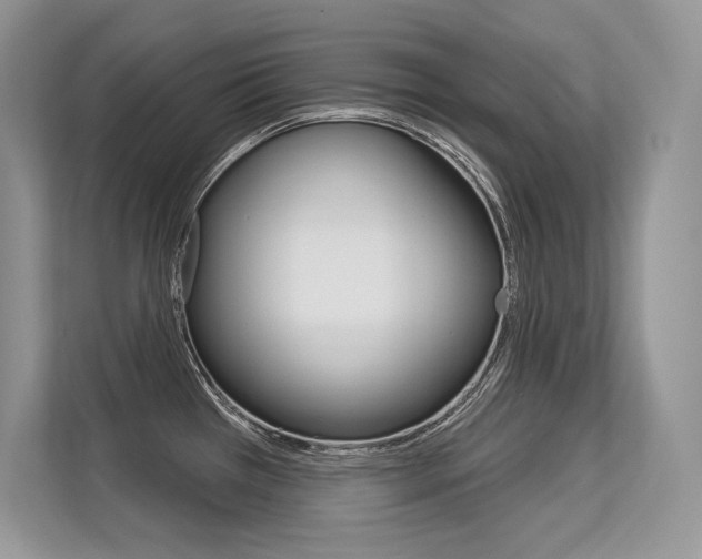 X0000113581385200909181011