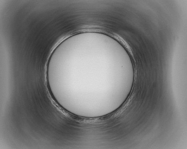 X0000113581386200909181011