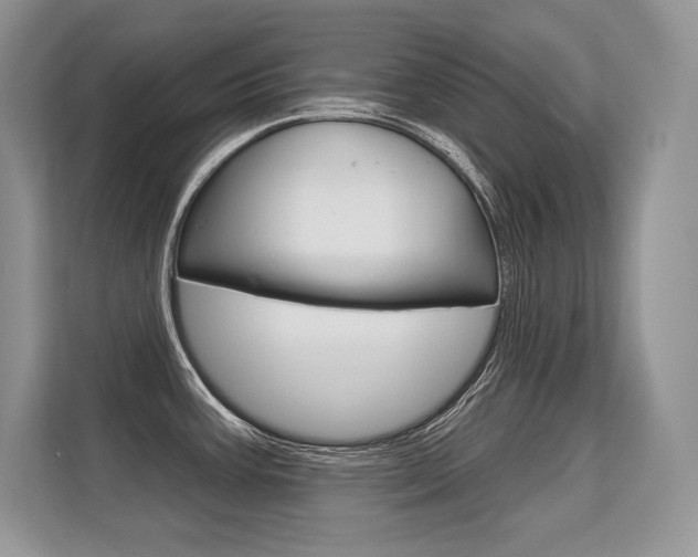 X0000113581387200909181011