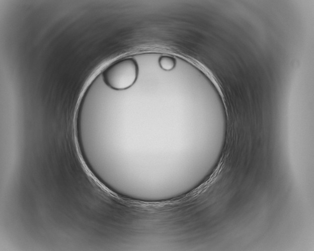 X0000113581389200909181011