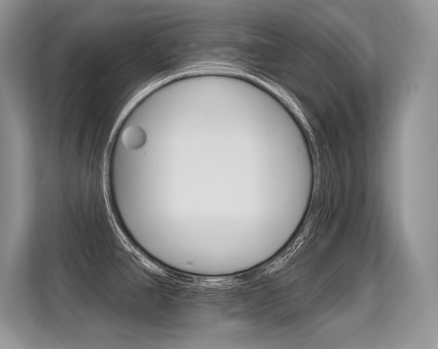 X0000113581390200909181011