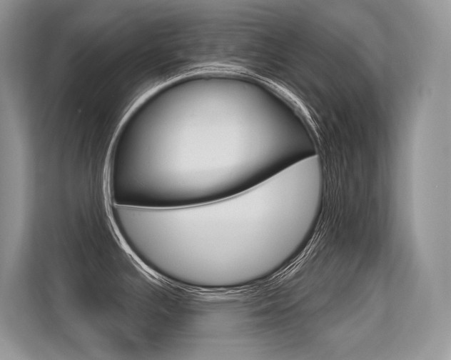 X0000113581391200909181011
