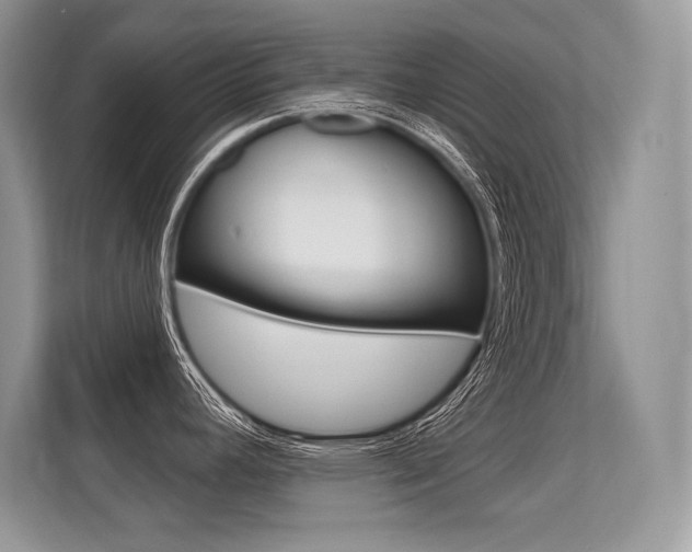 X0000113581392200909181011