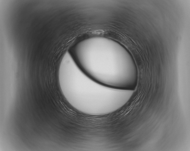 X0000113581394200909181010