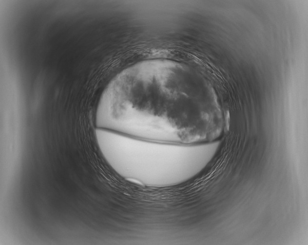 X0000113581395200909181010