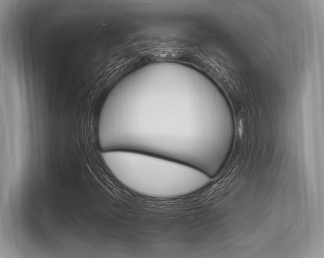 X0000113581396200909181010