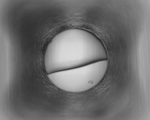 X0000113581397200909181010