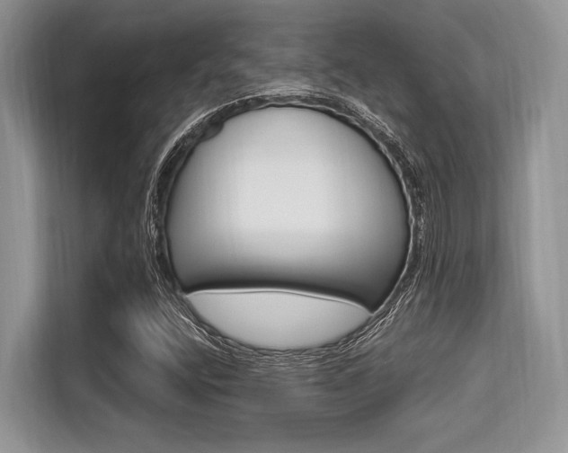X0000113581400200909181010