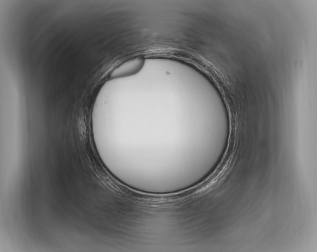 X0000113581401200909181010