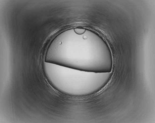 X0000113581402200909181010