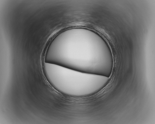 X0000113581404200909181010