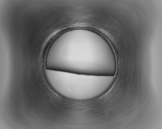 X0000113581406200909181010