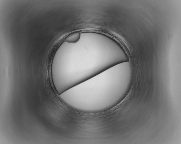 X0000113581407200909181010