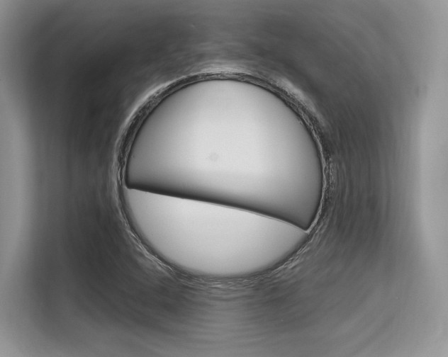 X0000113581408200909181010