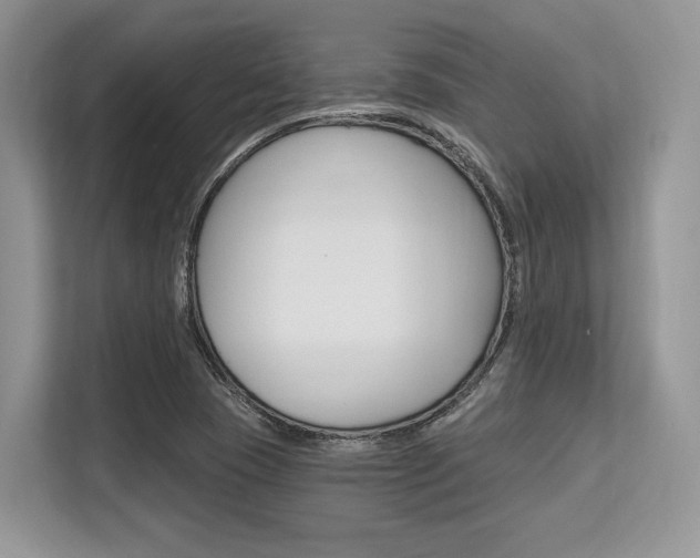 X0000113581409200909181010