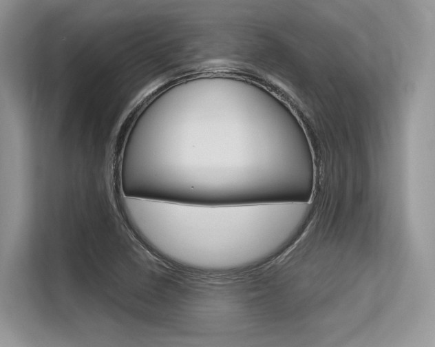 X0000113581410200909181010