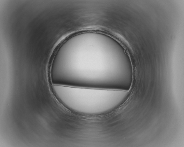 X0000113581412200909181010