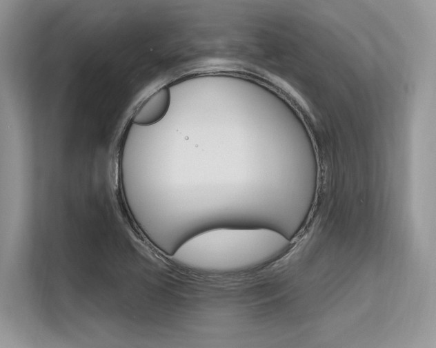 X0000113581413200909181010