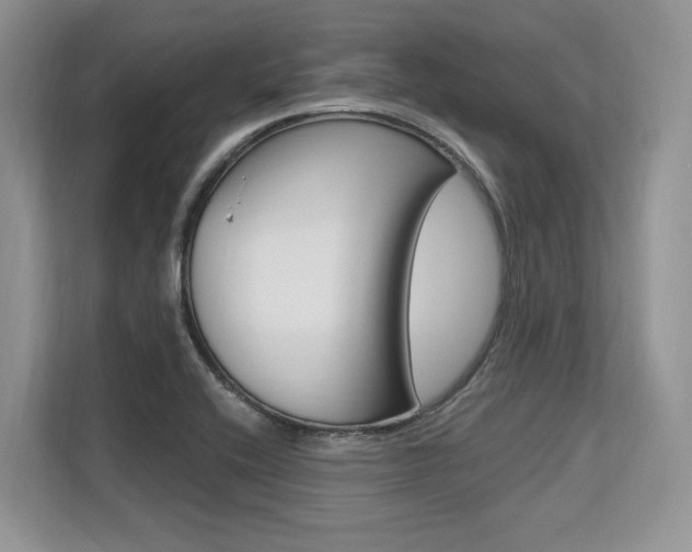 X0000113581416200909181010