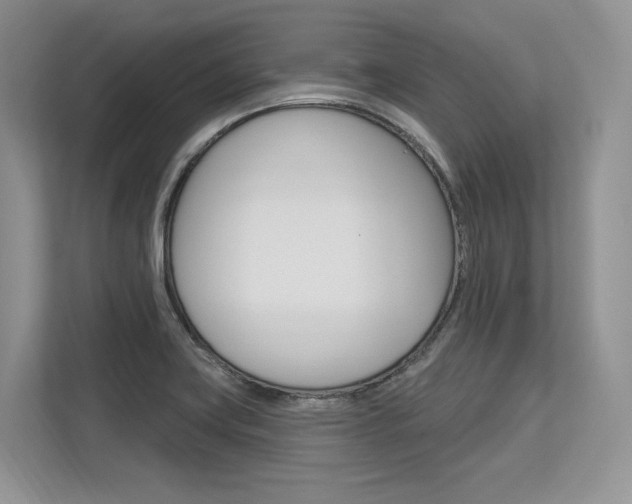 X0000113581419200909181010