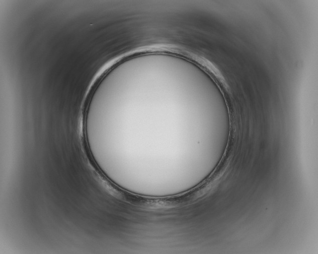 X0000113581420200909181010