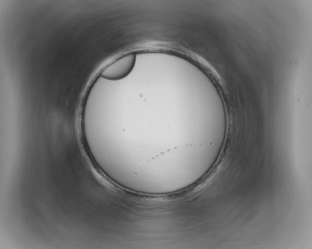 X0000113581421200909181010