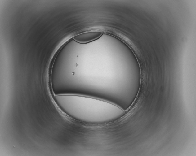 X0000113581426200909181010