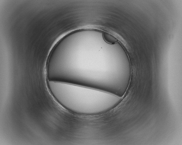 X0000113581428200909181011