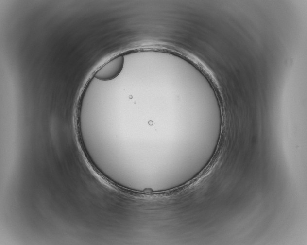 X0000113581429200909181011