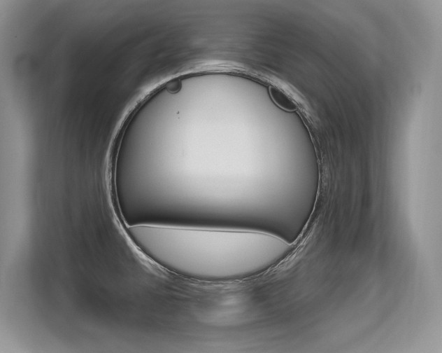 X0000113581430200909181011