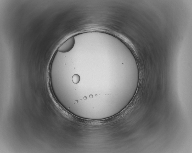 X0000113581431200909181011