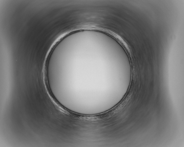 X0000113581432200909181011
