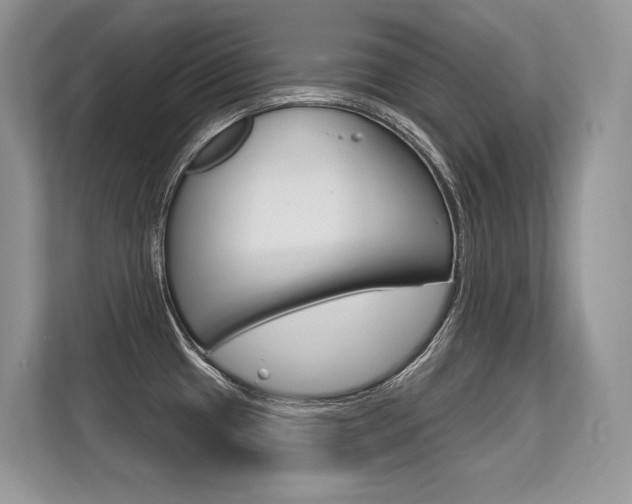 X0000113581433200909181011