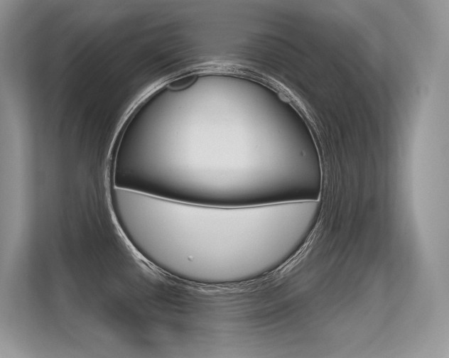 X0000113581434200909181011
