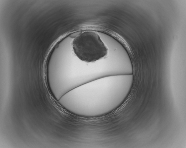 X0000113581435200909181011