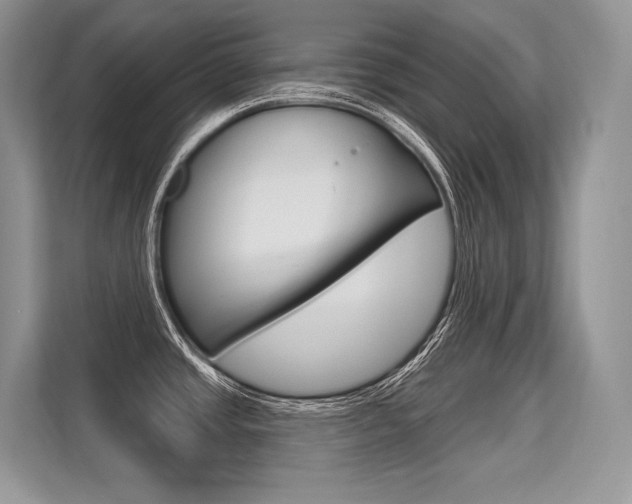 X0000113581437200909181011