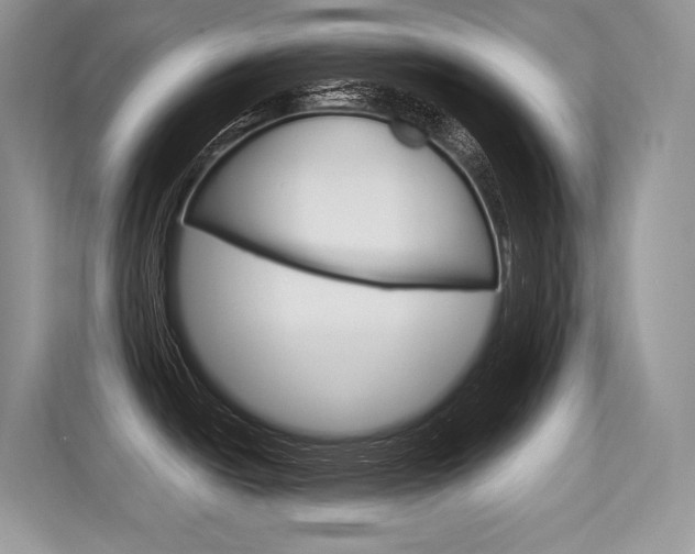 X0000113581438200909181011